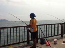 近畿の海釣り釣果情報