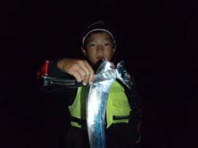 ���C���h�ޖ@