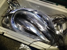 ���C���h�ޖ@