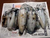 �a�̎R�G�M���O