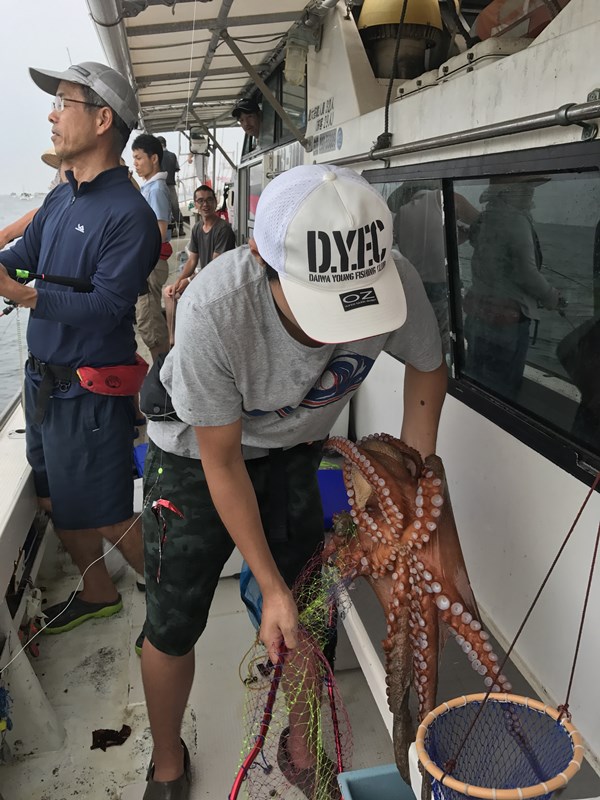 明石でタコ釣り