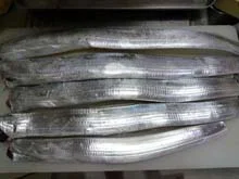 タチウオワインド