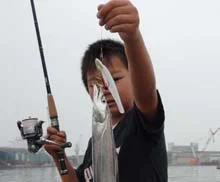 タチウオワインド