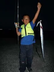 タチウオワインド