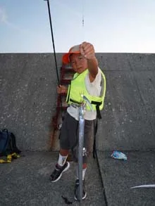 タチウオワインド