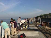 タチウオワインド