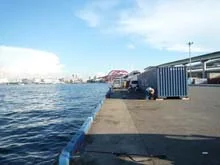 タチウオワインド