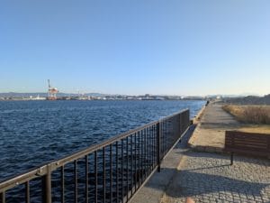 水軒鉄鋼団地のタチウオ