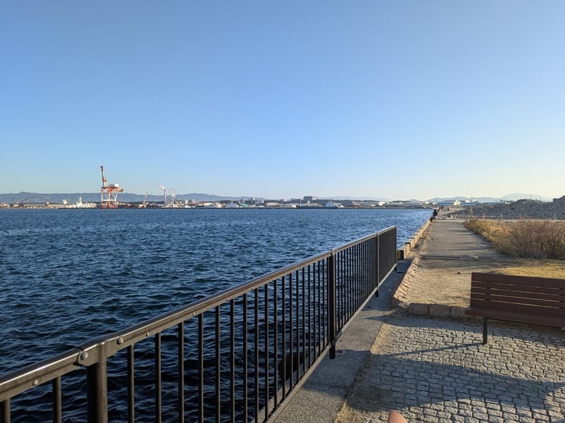 水軒鉄鋼団地のタチウオ