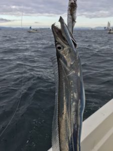 タチウオテンヤ